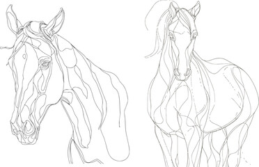 Horse one line drawing