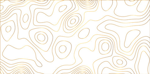 Fototapeta premium Abstract lines background. Contour maps. Vector illustration. The stylized height of the topographic map contour in lines and contours isolated on transparent. technology topo landscape grid map text.