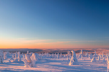 Riisitunturi National Park at sunset in winter. Winter wonderland in Finnish Lapland.