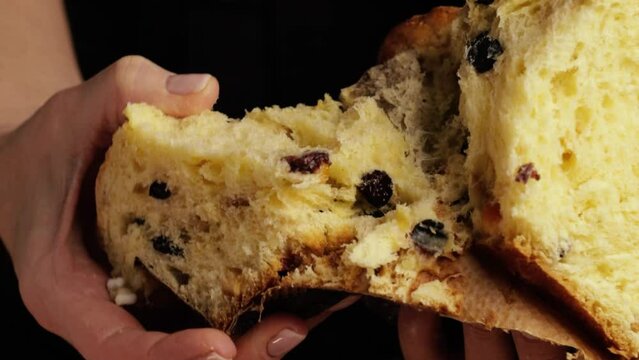 COLOMBA cake is a traditional Italian Easter dessert. The chef breaks off a slice from the Easter cake and demonstrates the delicate and airy dough. Top view