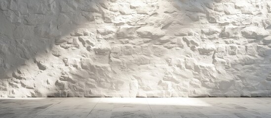 This black and white room showcases a minimalist design with empty space and a white wall background providing a pristine blend. The room is devoid of furniture or any other decorations, creating a