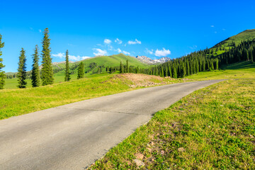 Fototapeta na wymiar Country road and green meadow with mountain nature landscape in summer