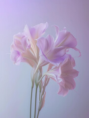 Spring Flowers Pastel Colors Abstract Background. Perfect for conveying a sense of calmness, dreaminess, or simply to add a soft visual touch.