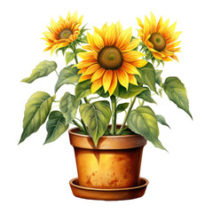 Vibrant Sunflowers in Rustic Pot Illustration - This is a digitally created image featuring a collection of bright sunflowers in a simple, rustic pot