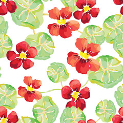 Nasturtium flowers, green leaves, white background. Floral illustration. Vector seamless pattern. Botanical design. Nature garden plants. Summer - 747992469