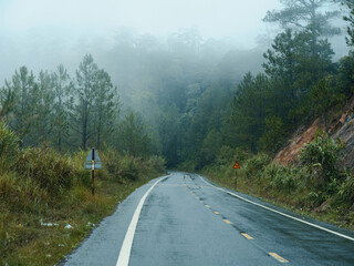 Misty Morning Drive: Serene Road Trip through Enchanting Forest Landscape