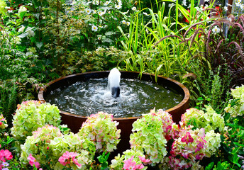 mała fontanna w drewnianej beczce, hortensja bukietowa, Hydrangea paniculata, small fountain in a wooden barrel, fountain in backyard, gardening design	