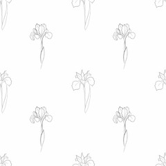 pattern with an iris flower drawn in vector, postcard with a delicate flower
