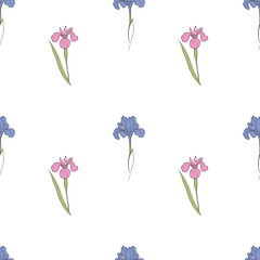 pattern with an iris flower drawn in vector, postcard with a delicate flower