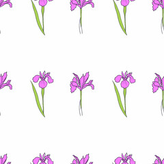 pattern with an iris flower drawn in vector, postcard with a delicate flower