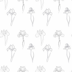pattern with an iris flower drawn in vector, postcard with a delicate flower
