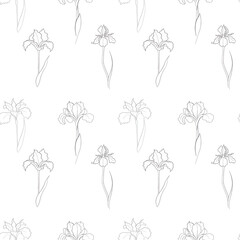 pattern with an iris flower drawn in vector, postcard with a delicate flower