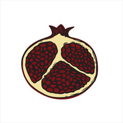 vector illustration with pomegranate. print for fabric with fruits, pattern for paper with fruits