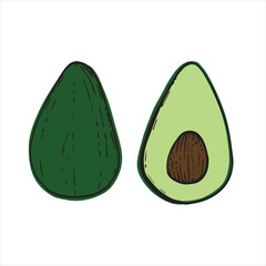 vector illustration with avocado. print for fabric with fruits, pattern for paper with fruits