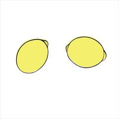 lemon vector illustration. lemon picture for a postcard. Citrus fruit for tea
