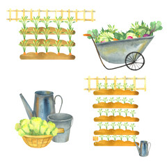 a set of watercolor illustrations on a country theme, garden pictures, postcards for farmers, harvest, vegetables