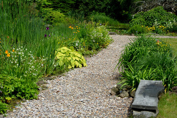 żwirowa ścieżka w ogrodzie, rośliny przy ścieżce w wiejskim ogrodzie, żwirowa alejka, garden...