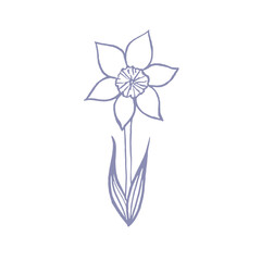 illustration with daffodil drawn in vector, spring flower, card for Mother's Day and Easter,