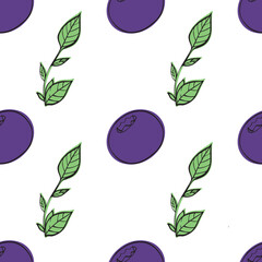 
vector illustration of blueberries, pattern with blueberries
