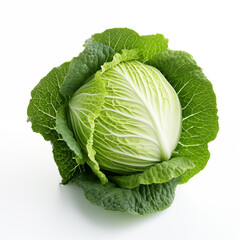 cabbage on white background 