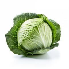Obraz premium cabbage on white background 