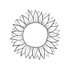 stylized flowers drawn in vector, plant sketch. linear graphics of a natural object