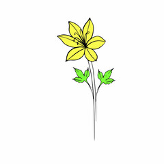 tulips drawn in vector, spring flower. Mother's Day card