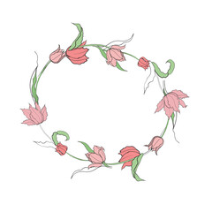 illustration of a tulip drawn in vector, spring bulbous flower.