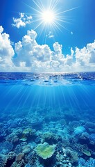 Obraz premium Above and below stunning view of the sea surface and underwater world with clear blue waters