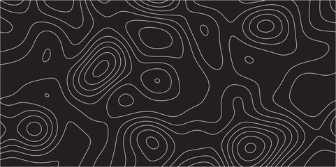 Fototapeta premium Abstract lines background. Contour maps. Vector illustration. The stylized height of the topographic map contour in lines and contours isolated on transparent. technology topo landscape grid map text.