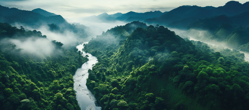 A Breathtaking Aerial View Captures The Lush Landscape, With The Winding River Cutting Through The Dense Green Jungle Below, Creating A Scenic And Captivating Vista.