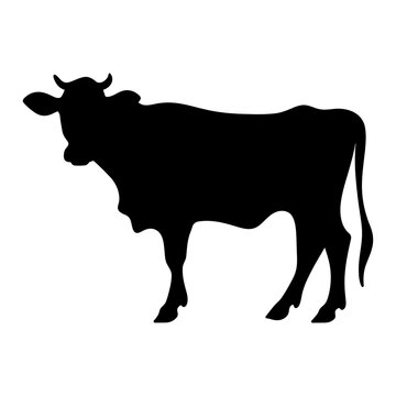 Cow silhouette