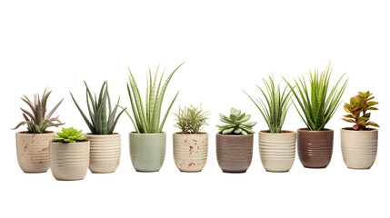 Plants in Ceramic Pots Realistic Portrait Isolated On Transparent Background Or PNG Background.