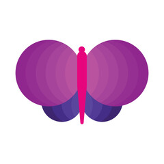 Butterfly icon vector