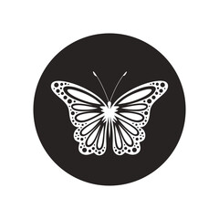 Butterfly icon vector