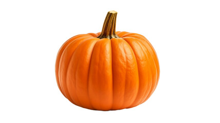 Pumpkin Isolated On Transparent Background Or PNG Background.
