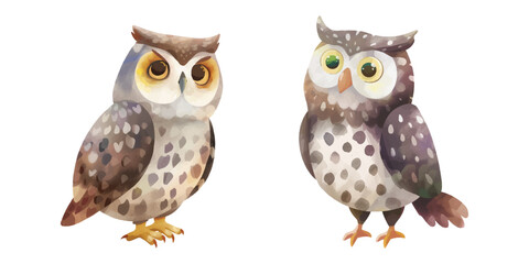 Obraz premium cute owl watercolour vector illustration 