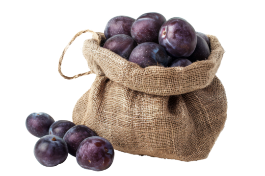 Plum fruit harvest in jute sack back isolated on background, farm product for cultivation.
