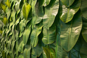 The walls metamorphose into a living artwork, adorned with the intricate patterns of tropical banana leaves