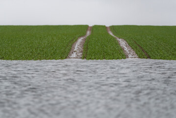 WEATHER - Flooding in the green field