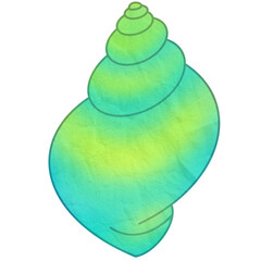 Seashell conch shell hand drawn illustration isolated on transparent background.