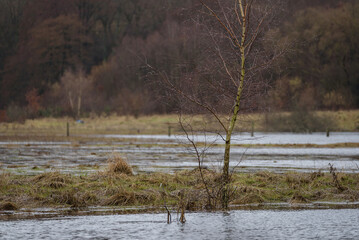 WEATHER - Flooding in the green field