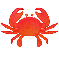 Crab with big claws hand drawn illustration isolated on transparent background.