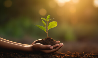 Hand planting young plant.hand holding young plant with sunlight on green nature background. concept eco earth day. Ecology concept