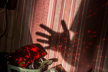 The shadow of a hand reaches for a wallet with red highlights