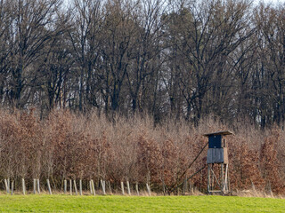 Hoch und Jägersitz