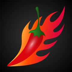 Red hot pepper chili  with burn fire on black background.
