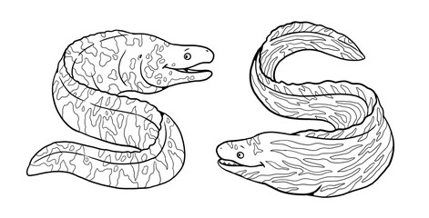 Funny moray eel to color in. Template for a coloring book with fish. Coloring template for kids.