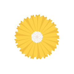Doodle flower illustration inspired by daisy and zinnia botanical drawing that can be used for sticker, book, scrapbook, icon, decorative, e.t.c cute with yellow and white colors	
