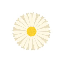 Doodle flower illustration inspired by daisy and zinnia botanical drawing that can be used for sticker, book, scrapbook, icon, decorative, e.t.c cute with yellow  and cream colors	